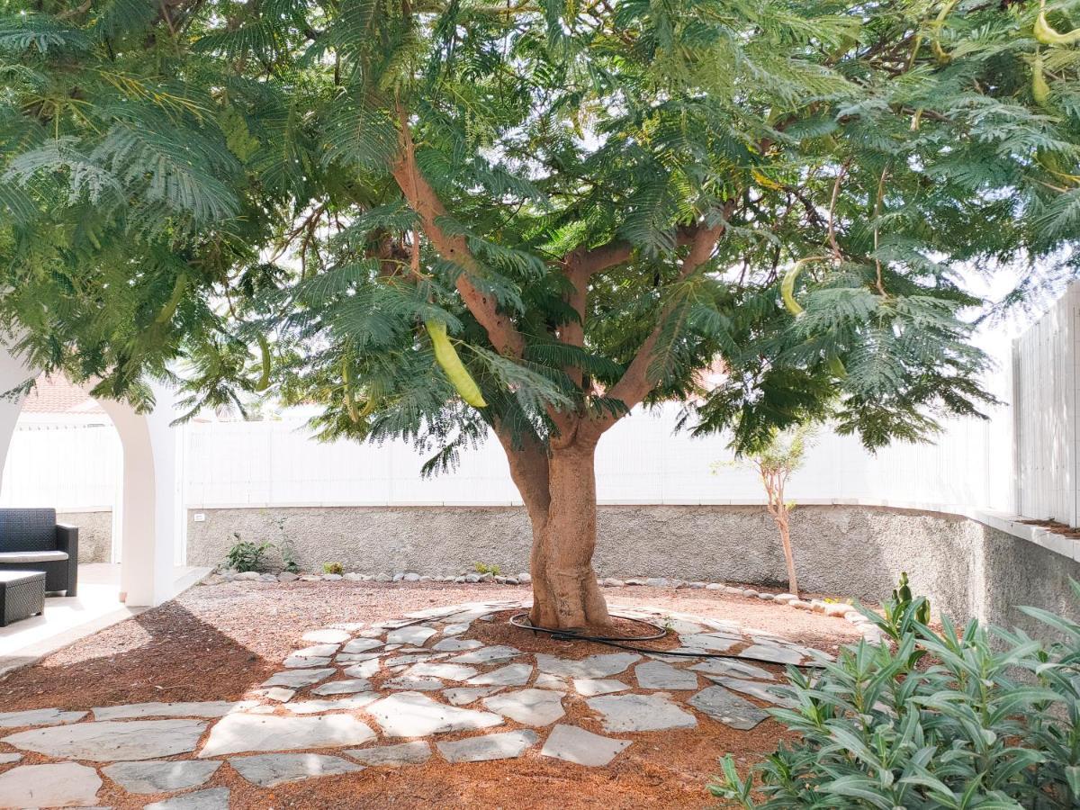 Pretty Terrace Holiday House In Maspalomas 플라야 델 잉글스 외부 사진